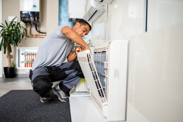 Best Affordable Air Duct Cleaning  in Mililani Town, HI