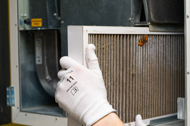 Best Professional Duct Cleaning Services  in Mililani Town, HI