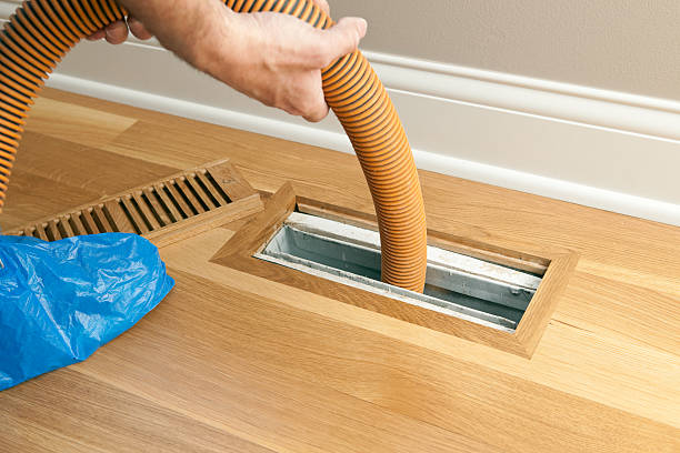 Best Local Air Duct Cleaning Services  in Mililani Town, HI