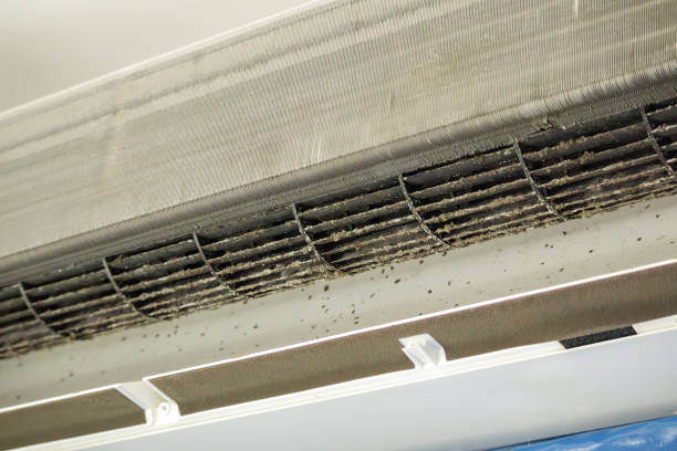 Best Air Duct Cleaning Company Near Me  in Mililani Town, HI